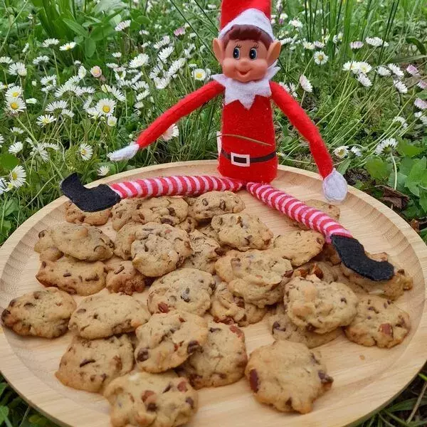 les cookies d'Elvie Cookies 