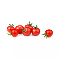 16 tomate(s) cerise
