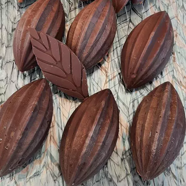 cabosses chocolat framboises