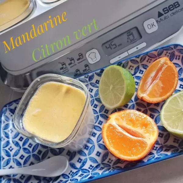 6 Crèmes vitaminées mandarine pour yaourtière Multi-Délices Express SEB