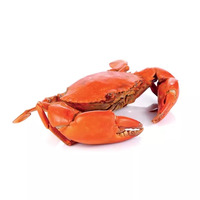 400 gramme(s) de crabe