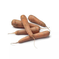 600 gramme(s) de carottes des sables
