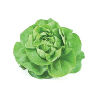 180 gramme(s) de salade verte : batavia, frisée, laitue...