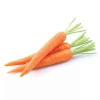 2 carotte(s)