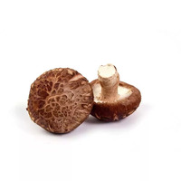 20 gramme(s) de champignons déshydratés « shiitake »