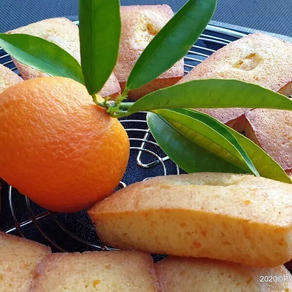 Petits cakes moelleux à la mandarine