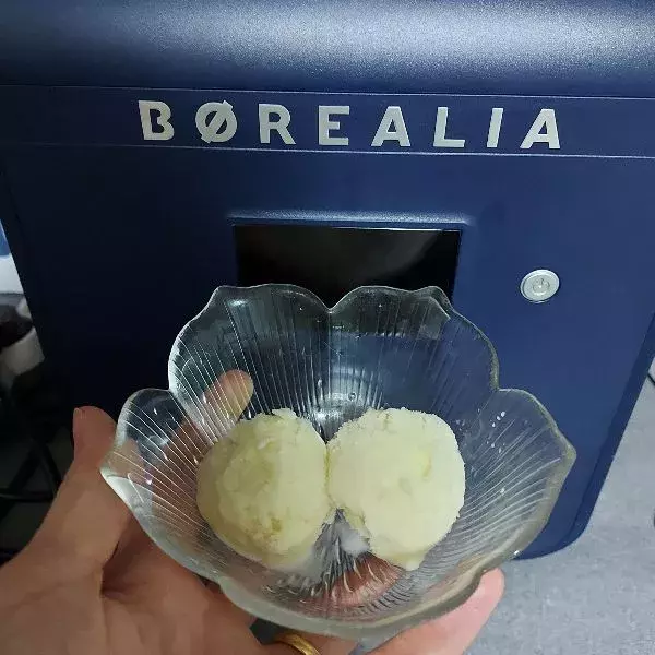 Glace au yaourt et au citron à la Børéalia