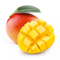 200 gramme(s) de purée de mangue