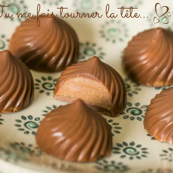 Chocolats fourrés praliné aux noisettes SANS I-COOK'IN