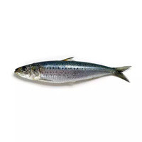 1 boîte(s) de sardines à l’huile